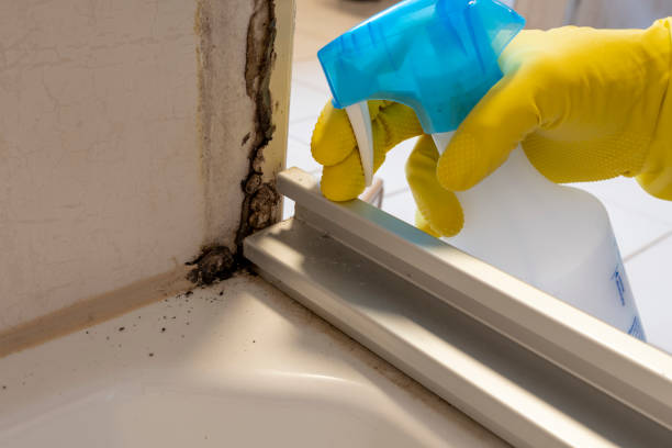 Best Commercial Mold Inspection  in USA